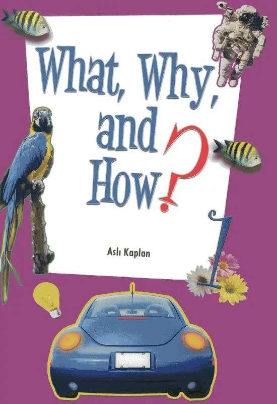 What Why and How 1