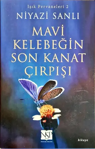 Mavi Kelebeğin Son Kanat Çırpışı